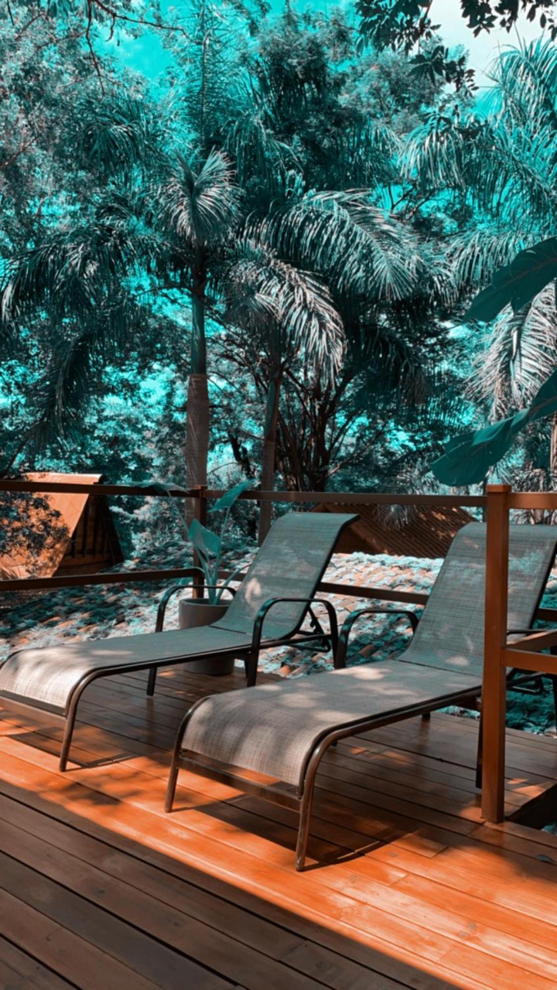 Bed and breakfast The Tamarindo- Adults Only